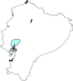 Cabreramops equatorianus